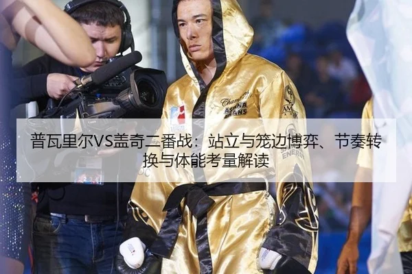 普瓦里尔VS盖奇二番战：站立与笼边博弈、节奏转换与体能考量解读