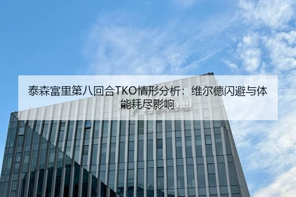 泰森富里第八回合TKO情形分析：维尔德闪避与体能耗尽影响