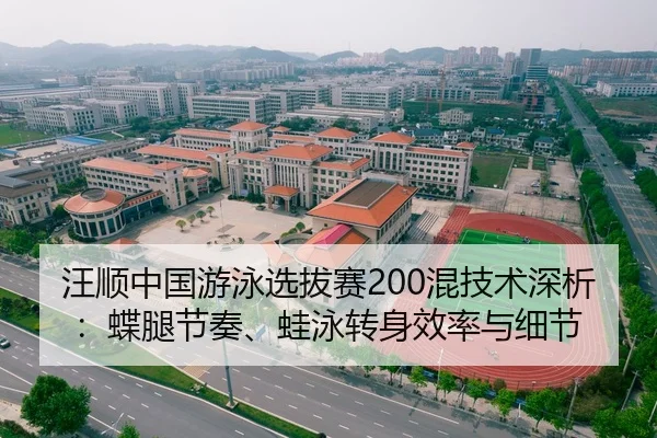 汪顺中国游泳选拔赛200混技术深析：蝶腿节奏、蛙泳转身效率与细节