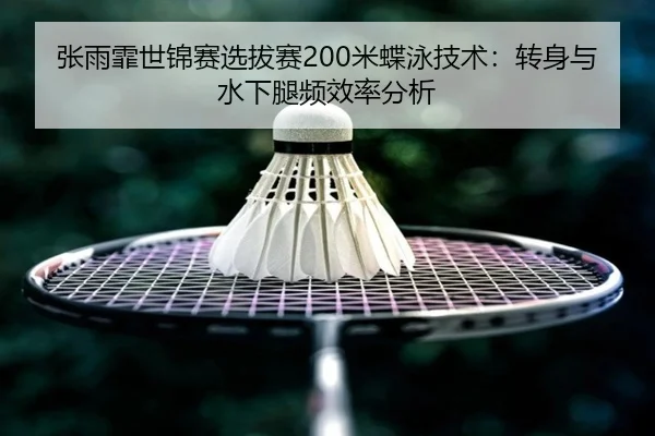 zhang-yu-fei-shi-jin-sai-xuan-ba-sai-mi-die-yong-ji-shu-zhuan-shen-yu-shui-xia-tui-pin-xiao-lv-fen-xi-2-134.jpg