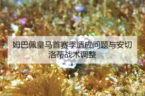 mu-ba-pei-huang-ma-shou-sai-ji-shi-ying-wen-ti-yu-an-qie-luo-di-zhan-shu-tiao-zheng-3-583.jpg