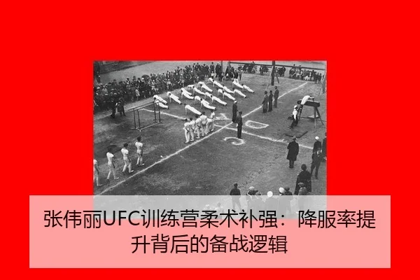张伟丽UFC训练营柔术补强：降服率提升背后的备战逻辑