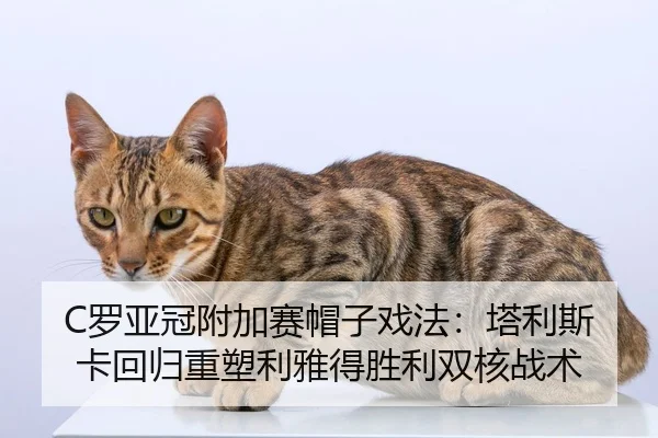 luo-ya-guan-fu-jia-sai-mao-zi-xi-fa-ta-li-si-ka-hui-gui-zhong-su-li-ya-de-sheng-li-shuang-he-zhan-shu-2-517.jpg